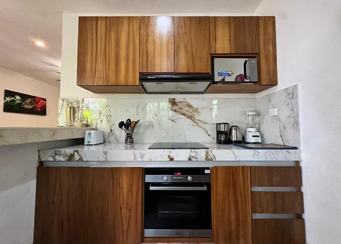 Modern 2br 2ba Downtown Playa - Pool - 5th Ave *