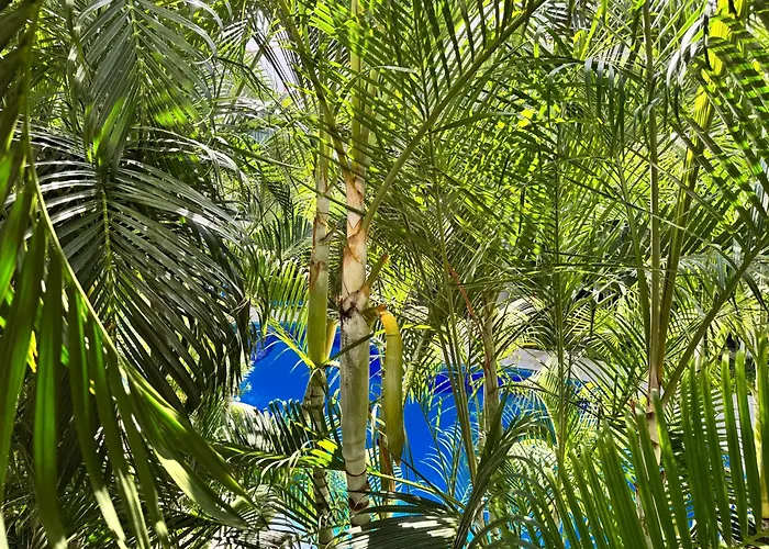 Modern 2br 2ba Downtown Playa - Pool - 5th Ave Apartamento *
